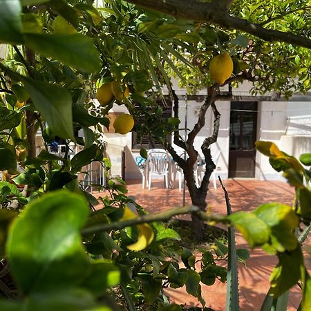 Casa Ciccio Apartment Сан Вито ло Капо Екстериор снимка