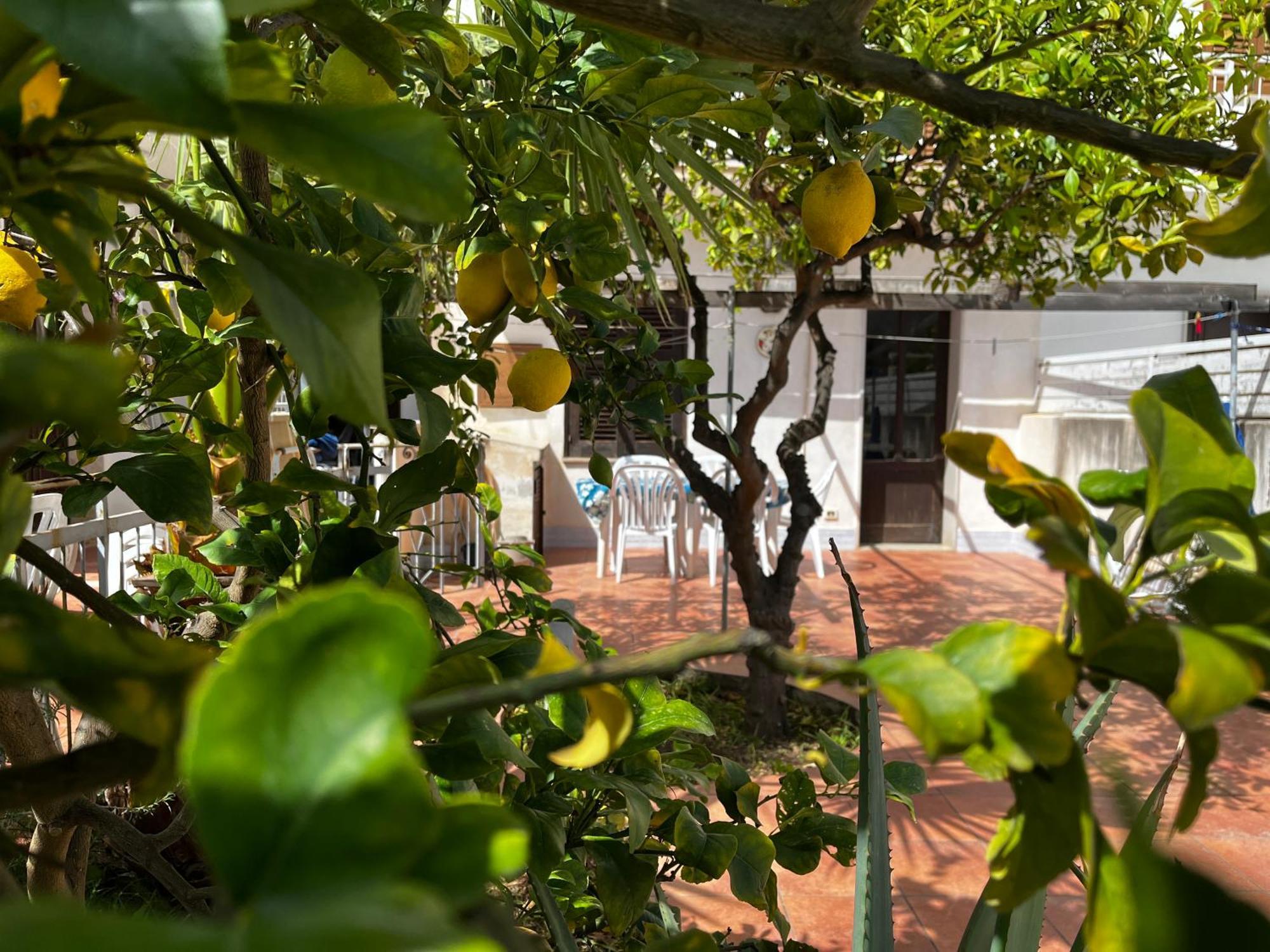 Casa Ciccio Apartment Сан Вито ло Капо Екстериор снимка